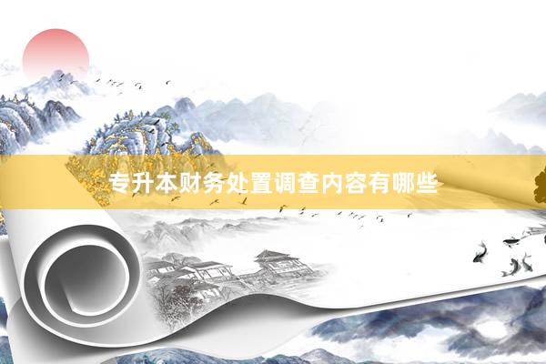 专升本财务处置调查内容有哪些