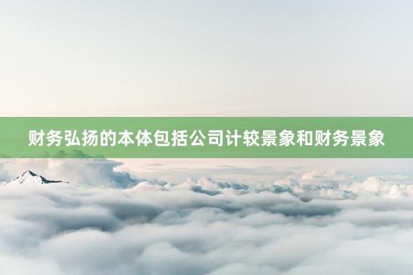 财务弘扬的本体包括公司计较景象和财务景象